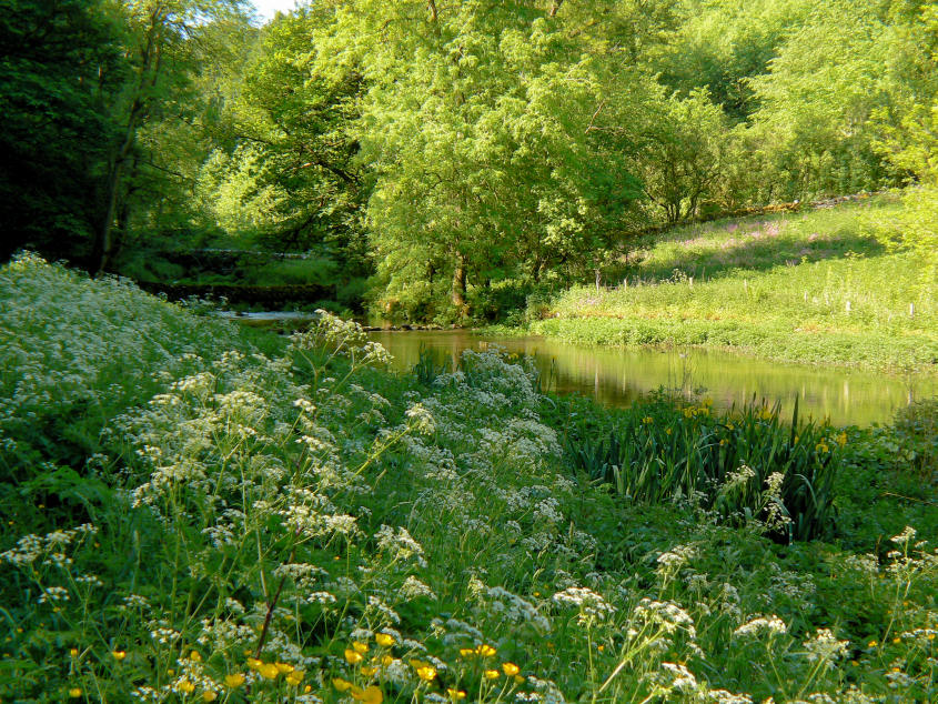 River Bradford River Bradford